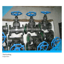 A105n ANSI Flanged Carbon Steel forged Globe Valve